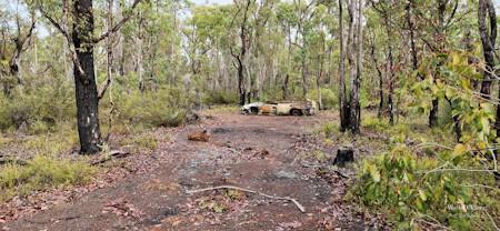 Gravel, Ground, Land, Nature, Outdoors, Trail, Tree, Vegetation, Wilderness, Woodland